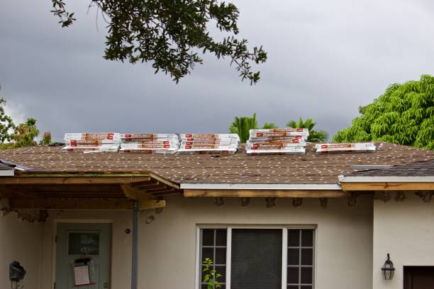 Crafting the Perfect Roof: Installation Insights and Inspirations