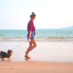 The Health Benefits of Dog Daycare