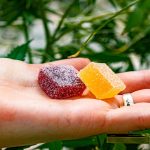 Discover the Delicious World of HHC Gummies A Comprehensive Guide