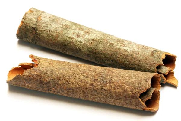 Discover the Top CBD Pre-Rolls for a Smoother Experience