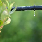 Top Irrigation Suppliers in Hartford