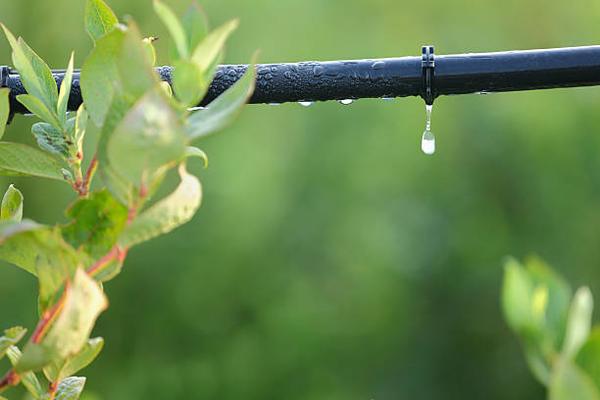 Top Irrigation Suppliers in Hartford