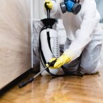 The Impact of Climate Change on Spider Pest Control in Sydney