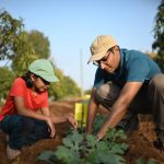 Understanding Fertilizer Ratios: A Personal Take on 5-10-10