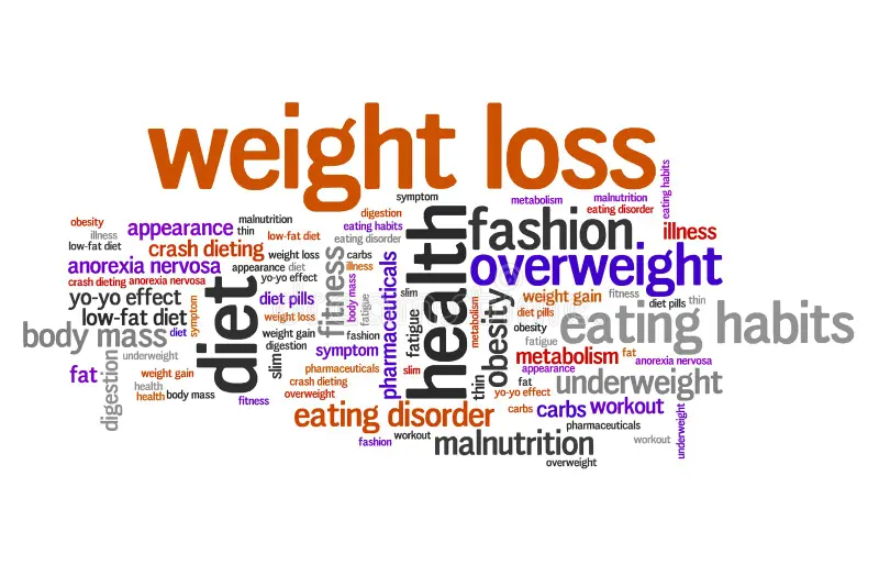 The Science Behind Insulin Sensitivity & Weight Loss for Sustainable Fat Burn